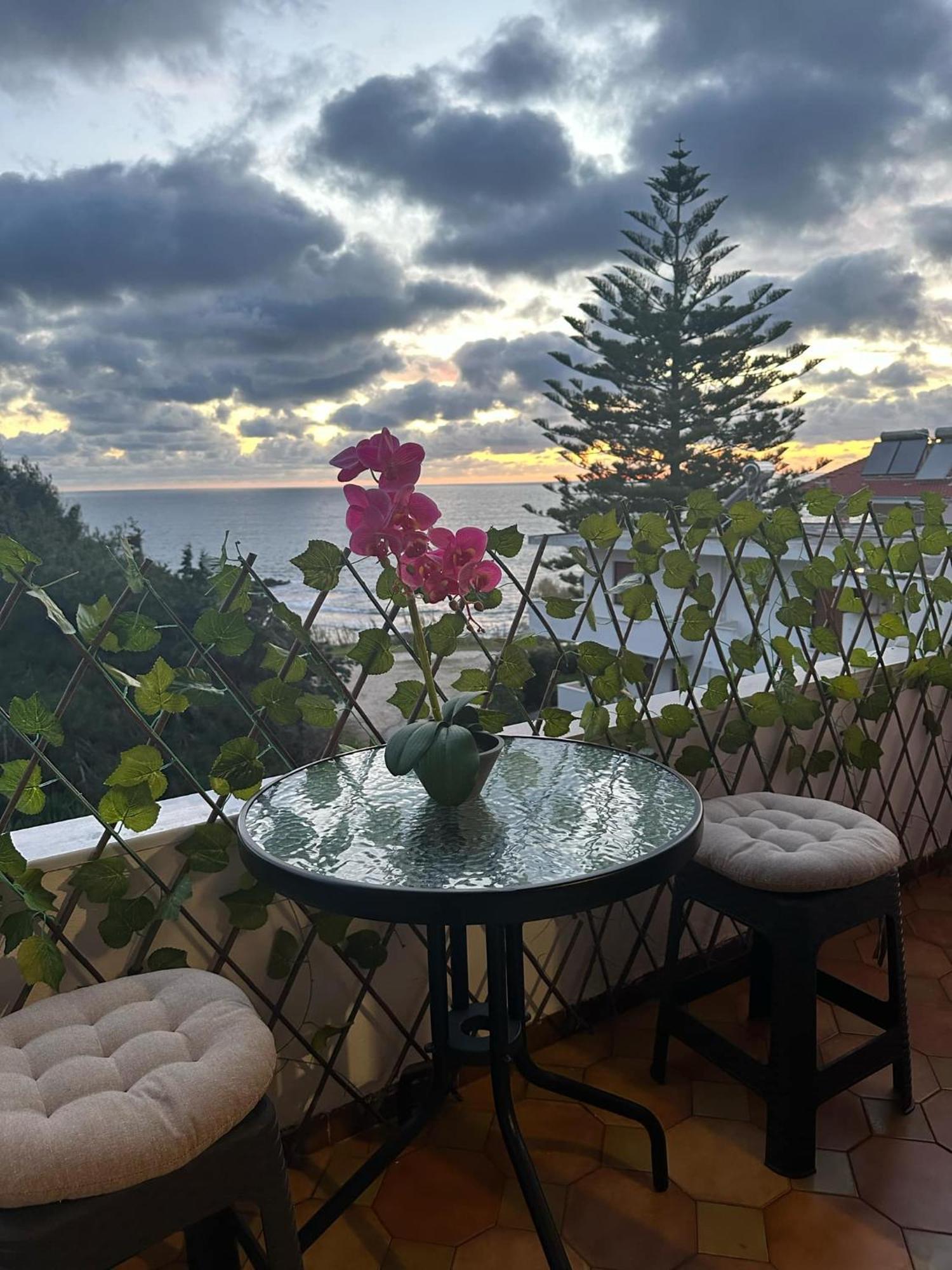 Sunset View House Apartment